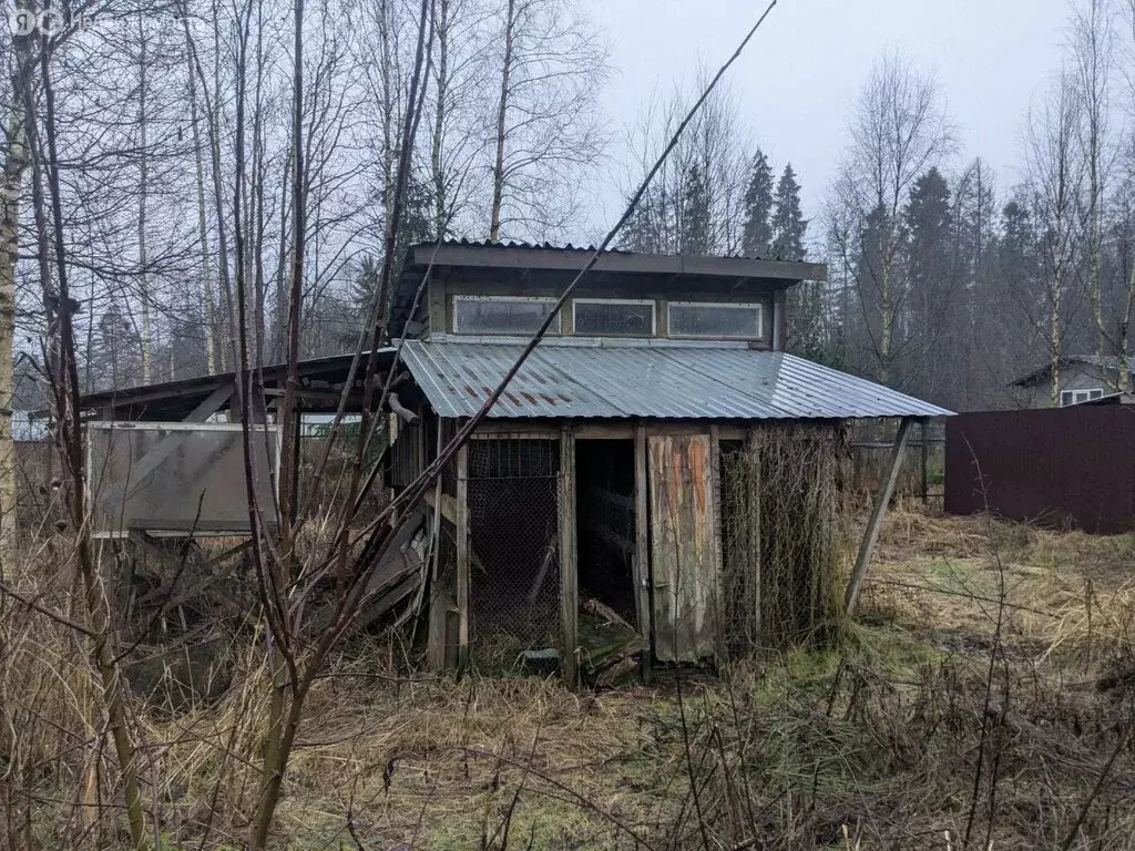 Участок в Всеволожский район, Сертолово (12 м) - Фото 2