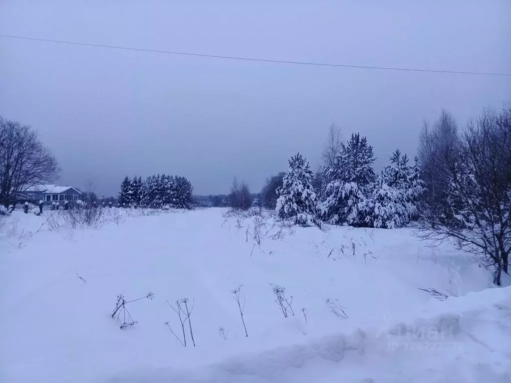 Участок в Московская область, Егорьевск муниципальный округ, д. ... - Фото 1