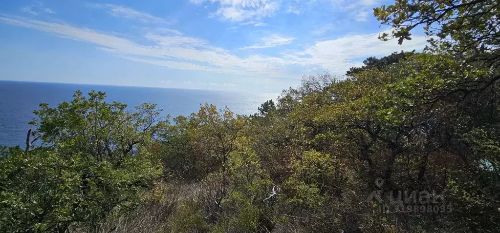 Участок в Крым, Ялта муниципальный округ, Санаторное пгт ул. Гагарина, ... - Фото 2