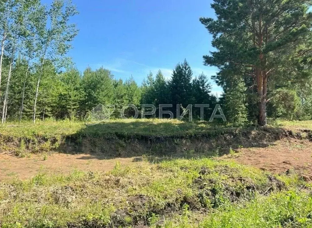 Участок в Тюменская область, Тюменский район, Новокаменский кп  (13.62 ... - Фото 0