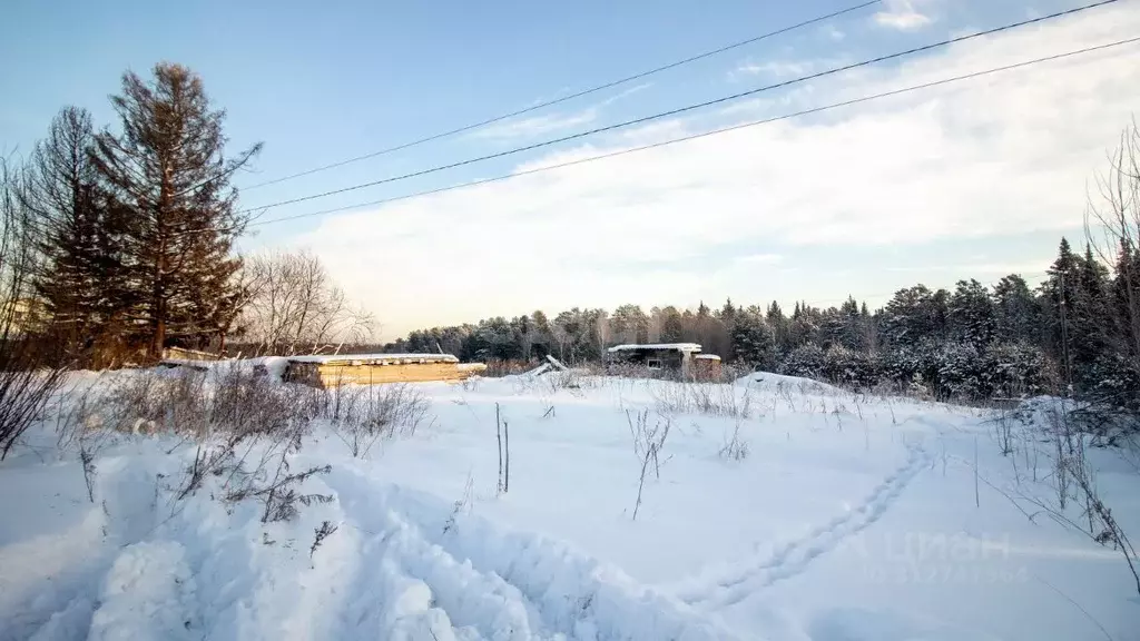 Участок в Томская область, Томский район, д. Конинино  (25.0 сот.) - Фото 0