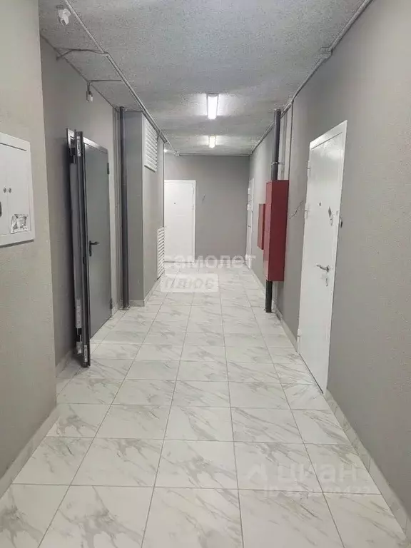 1-к кв. Липецкая область, Липецк Московская ул., 159к2 (37.8 м) - Фото 1