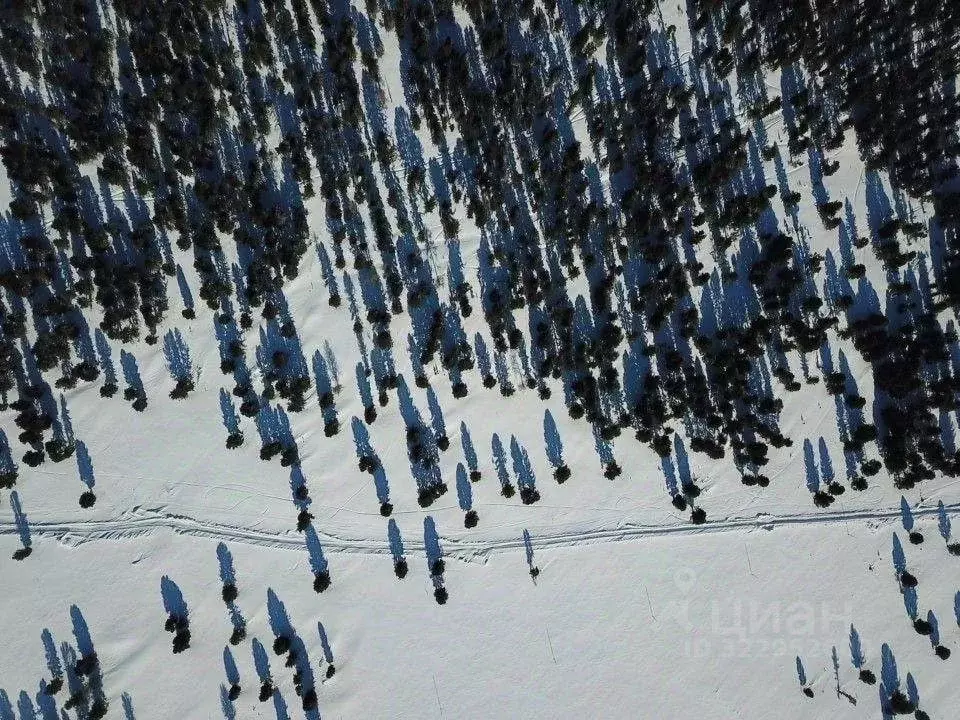 Участок в Алтай, Онгудайский район, с. Каракол  (358.0 сот.) - Фото 2
