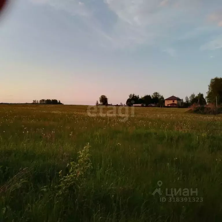 Участок в Ярославская область, Тутаевский муниципальный округ, ... - Фото 1