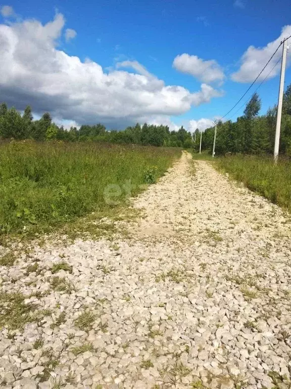 Участок в Пермский край, Добрянский городской округ, д. Кулигино ул. ... - Фото 1