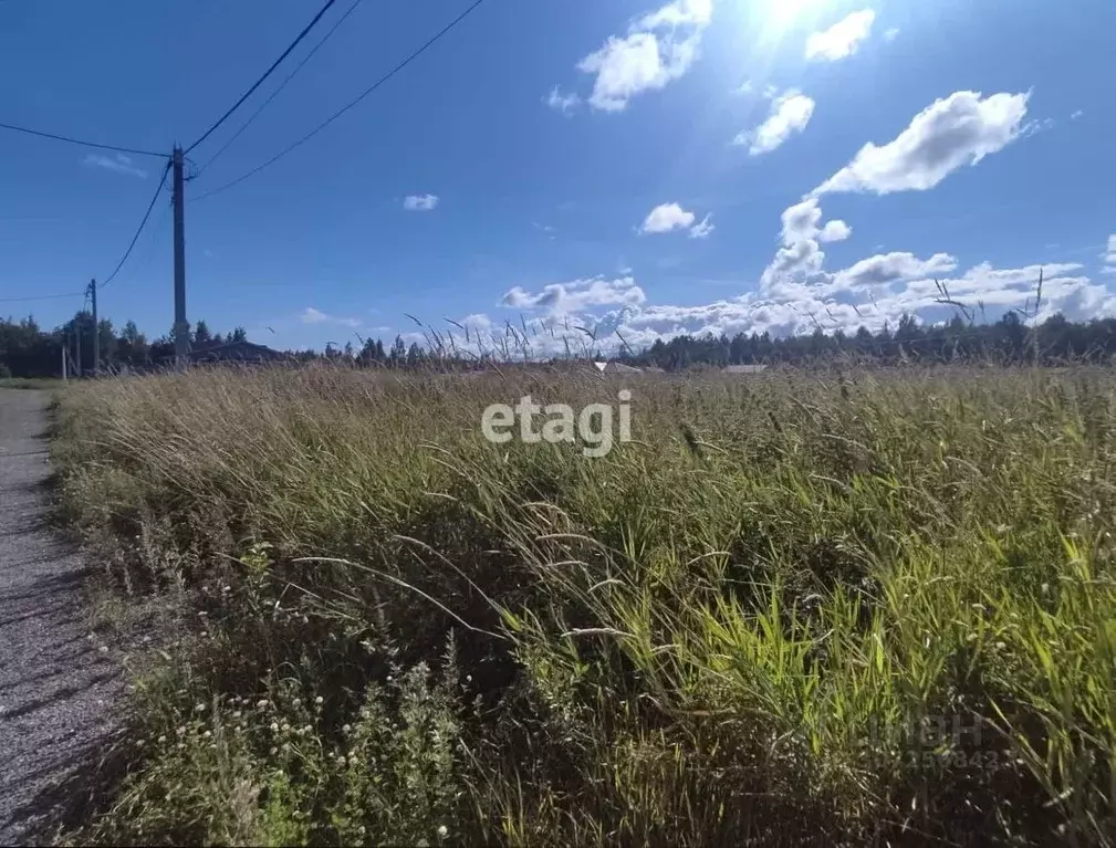 Участок в Ленинградская область, Всеволожский район, Романовское ... - Фото 0