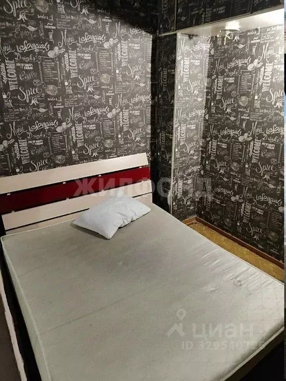 3-к кв. Новосибирская область, Новосибирск Первомайская ул., 86 (58.0 ... - Фото 1