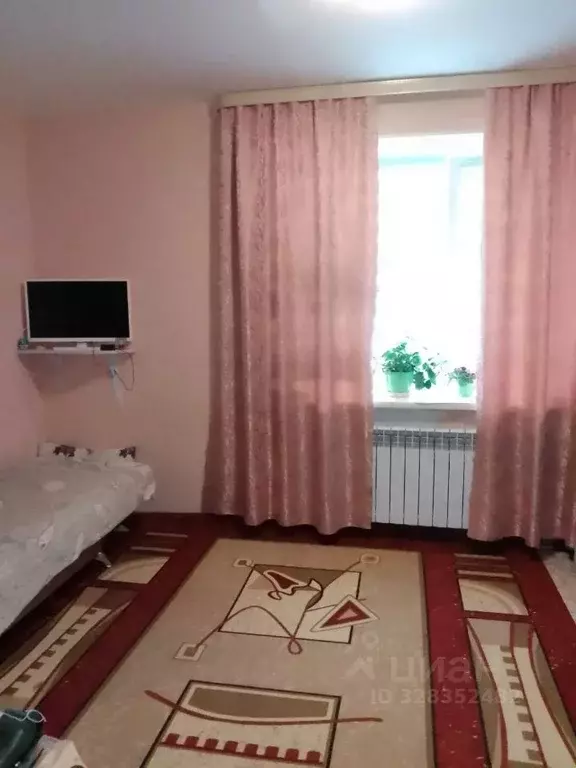 Студия Томская область, Томский район, Богашевское с/пос, пос. Ключи ... - Фото 2