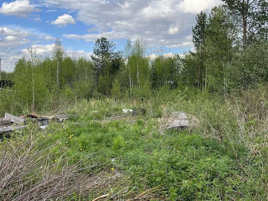 Участок в Екатеринбург, Чусовской тракт (8.5 м) - Фото 0