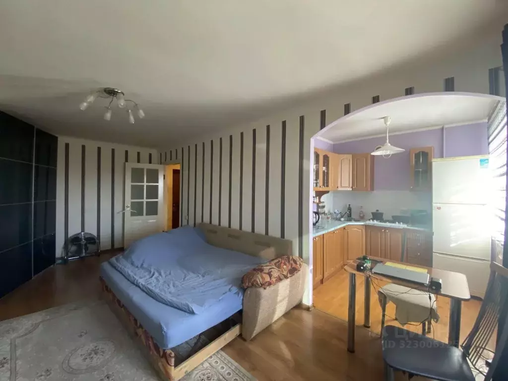 1-к кв. Омская область, Омск наб. Иртышская, 33 (33.3 м) - Фото 1