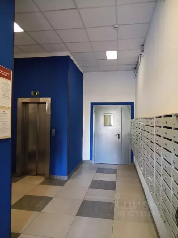 Студия Санкт-Петербург ул. Адмирала Трибуца, 7 (24.0 м) - Фото 2