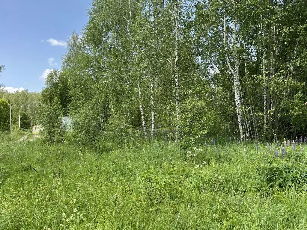 Участок в Московская область, Ступино городской округ, с. Ивановское ... - Фото 1