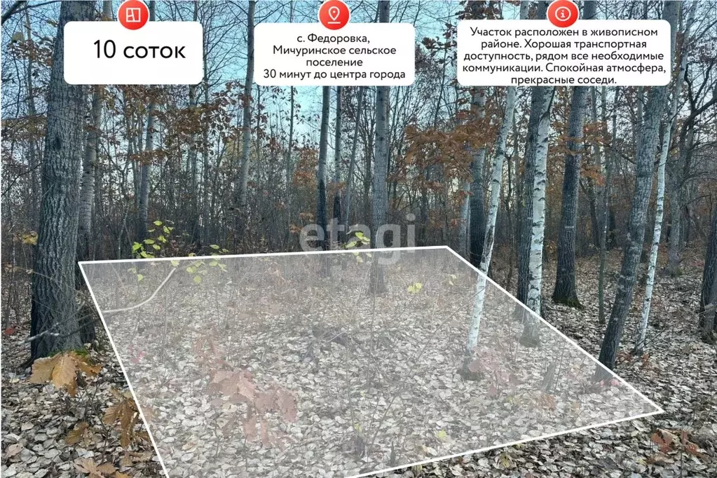 Участок в Хабаровский край, Хабаровский район, Мичуринское с/пос, с. ... - Фото 1