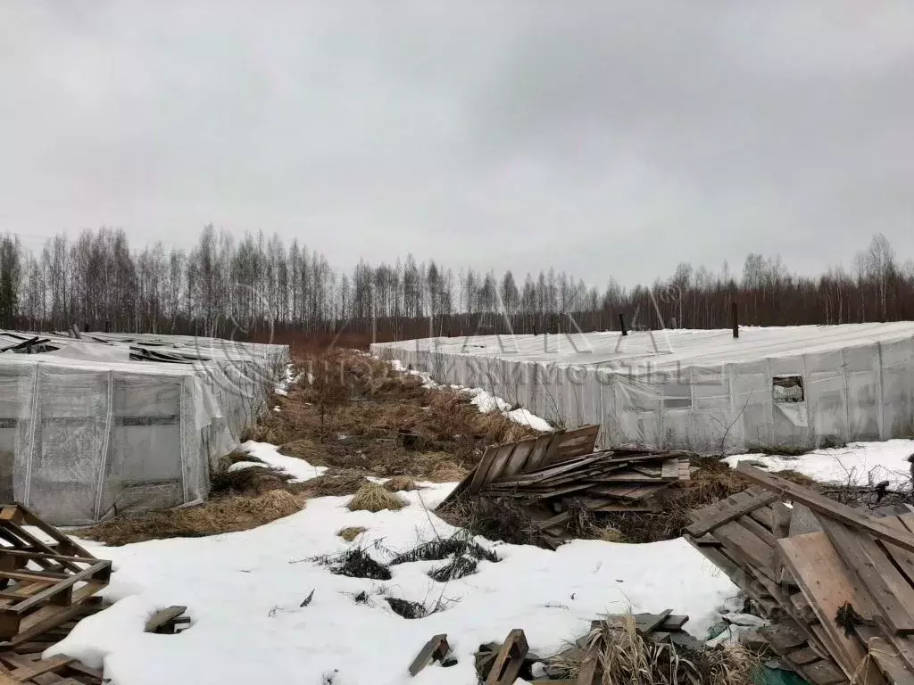 Участок в Ленинградская область, Всеволожский район, Рахья рп  (112.28 ... - Фото 1