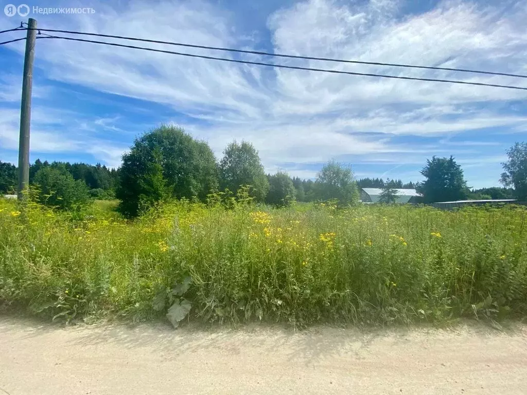 Участок в Волосовский район, Калитинское сельское поселение, деревня ... - Фото 2