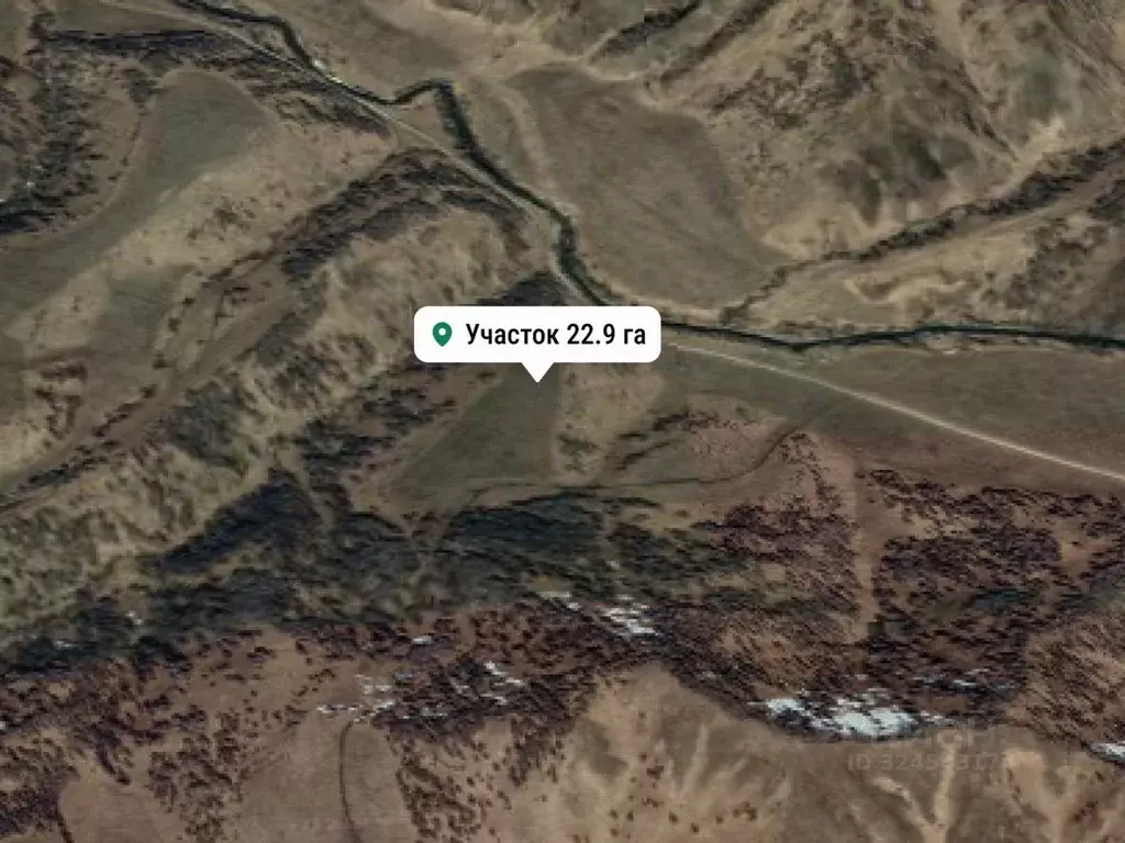 Участок в Алтай, Усть-Канский район, с. Черный Ануй  (22.9 сот.) - Фото 2