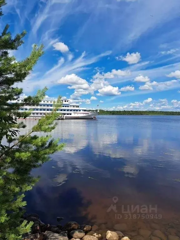 Участок в Ленинградская область, Лодейнопольский район, пос. ... - Фото 0