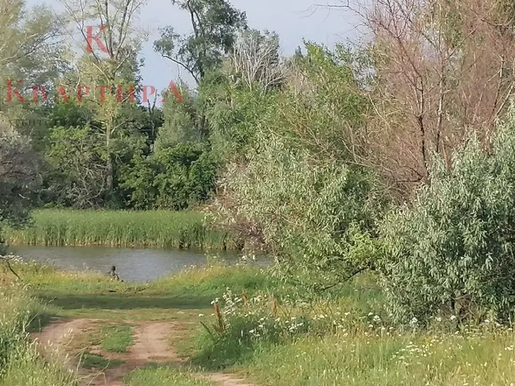 Участок в Оренбургская область, Сакмарский район, Татаро-Каргалинский ... - Фото 1