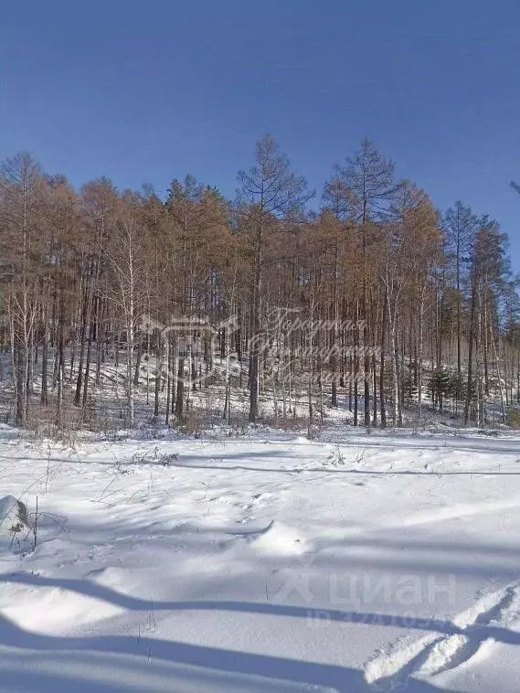 Участок в Иркутская область, Иркутск  (20.0 сот.) - Фото 1