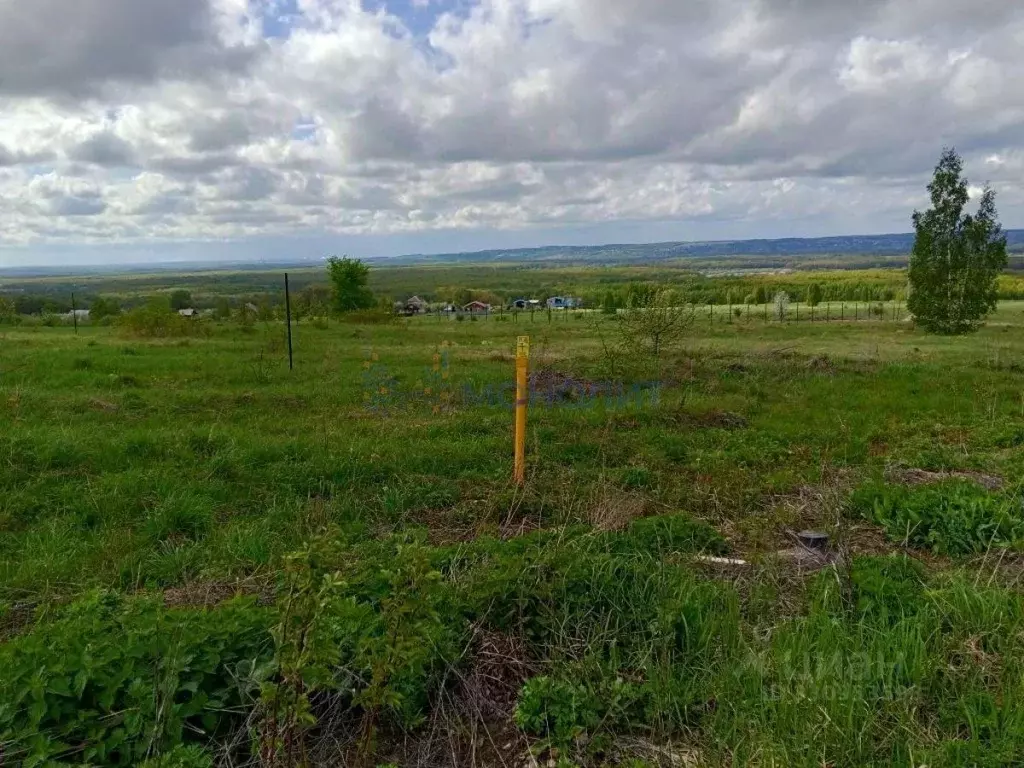 Участок в Нижегородская область, Нижний Новгород с. Шава, ул. Чехова ... - Фото 1