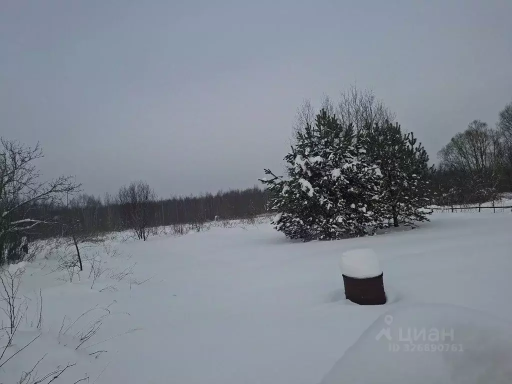Участок в Московская область, Орехово-Зуевский городской округ, д. ... - Фото 1