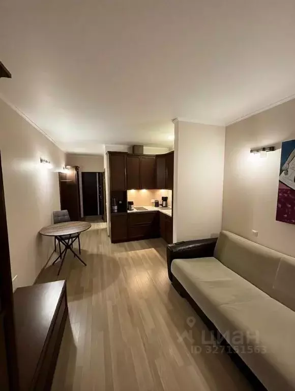 Студия Краснодарский край, Сочи Виноградная ул., 22/1Б (32.0 м) - Фото 2