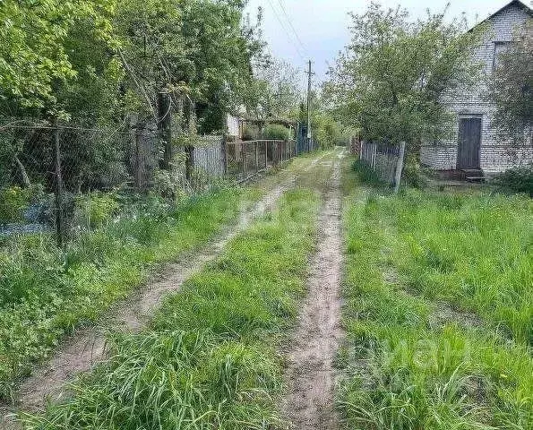 Участок в Брянская область, Брянский район, Добрунское с/пос, д. ... - Фото 0