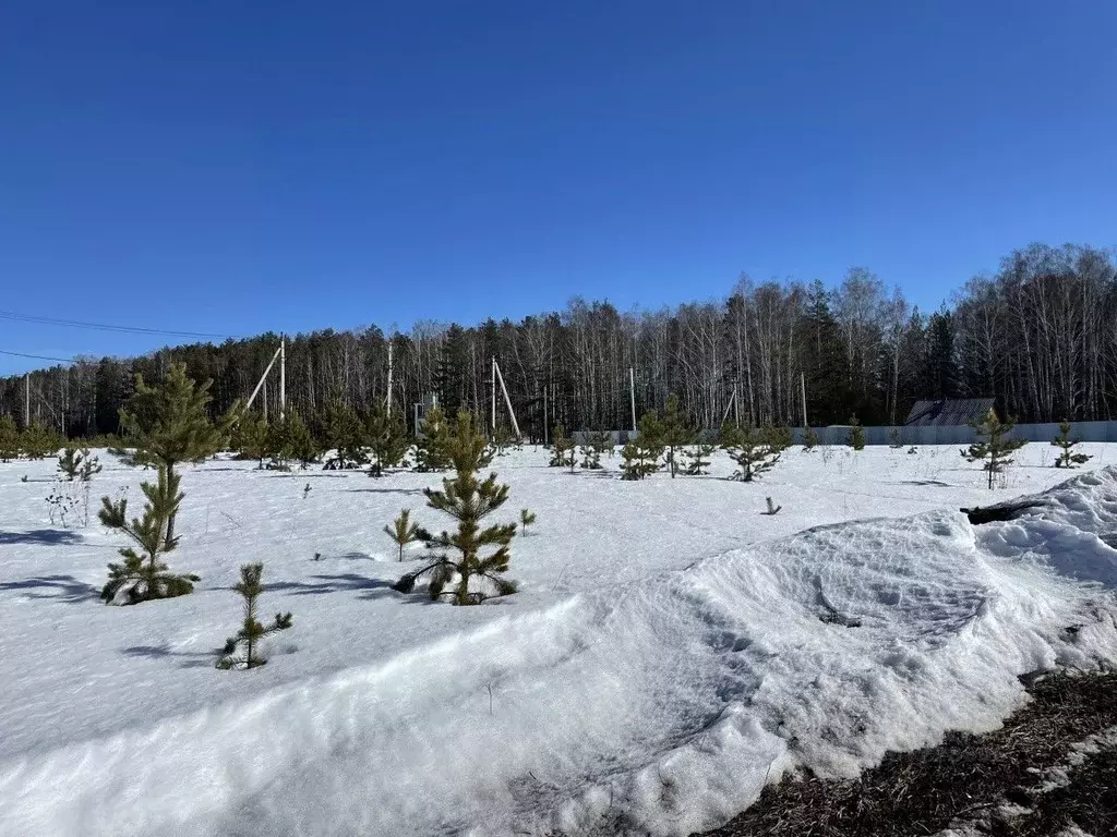 Участок в Свердловская область, Белоярский городской округ, с. ... - Фото 0