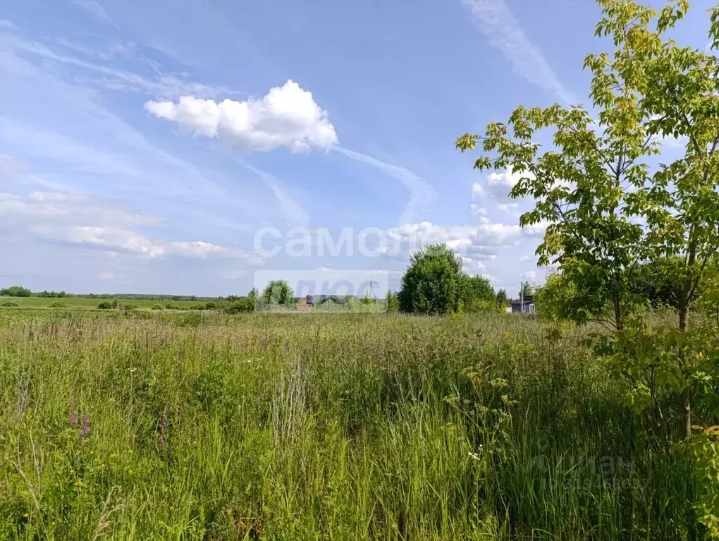 Участок в Московская область, Коломна городской округ, пос. Проводник  ... - Фото 0