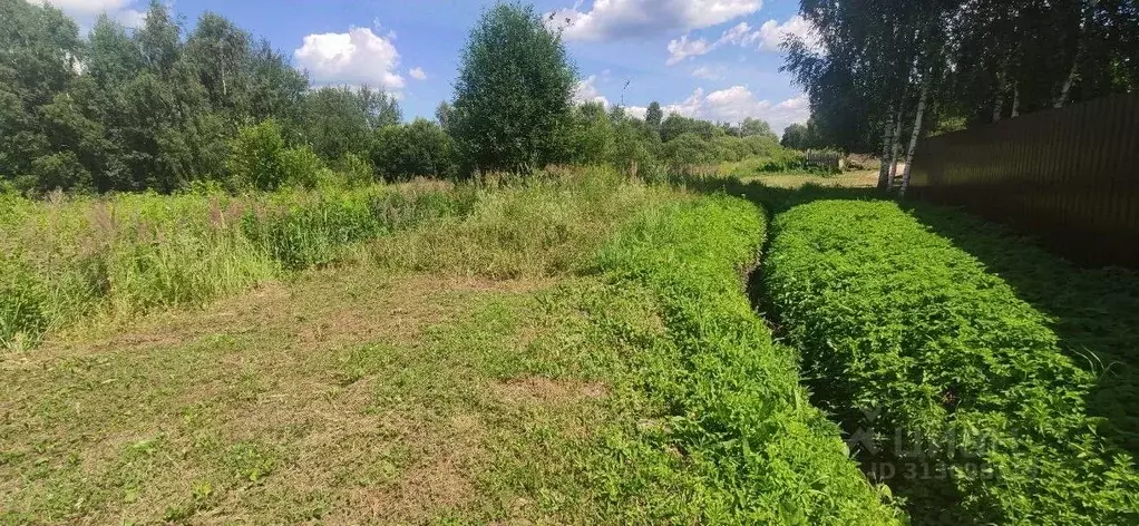 Участок в Московская область, Талдомский городской округ, Запрудня рп  ... - Фото 0