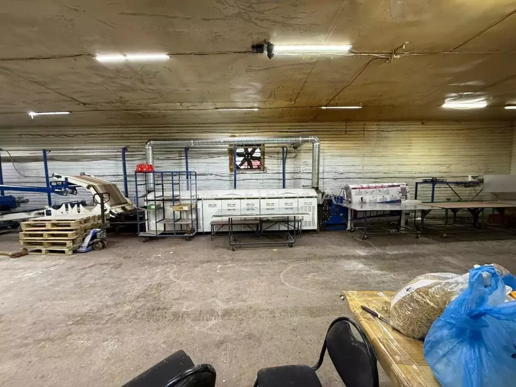 Помещение свободного назначения в Новосибирская область, Новосибирск ... - Фото 1