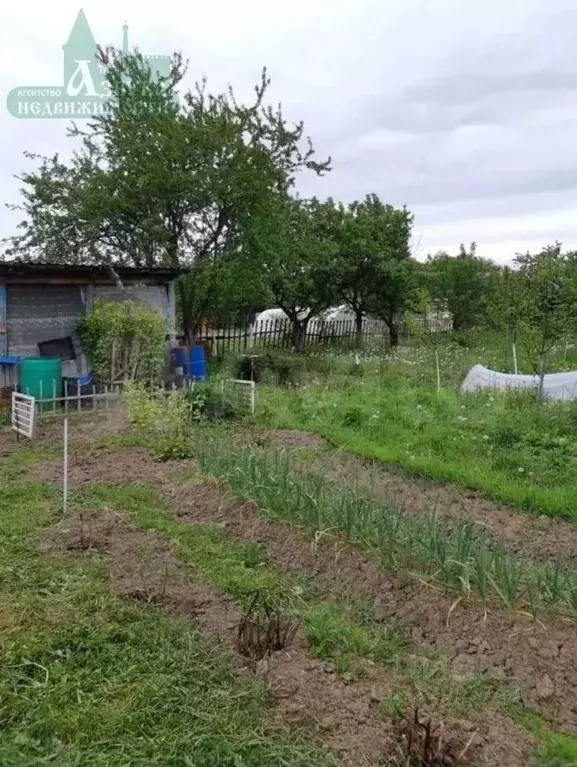 Участок в Смоленская область, Смоленск ш. Рославльское (6.0 сот.) - Фото 1