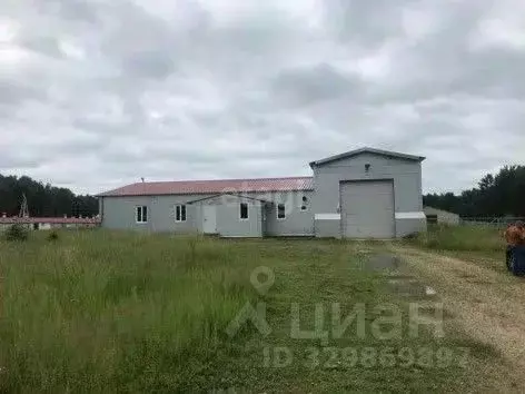 Склад в Калужская область, Юхновский муниципальный округ, Беляево ... - Фото 1