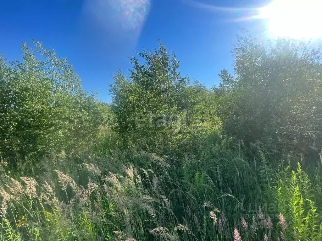 участок в нижегородская область, кстовский муниципальный округ, с. . - Фото 0