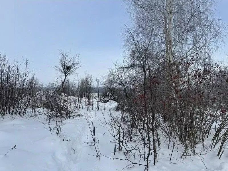 Участок в Московская область, Серебряные Пруды муниципальный округ, д. ... - Фото 2