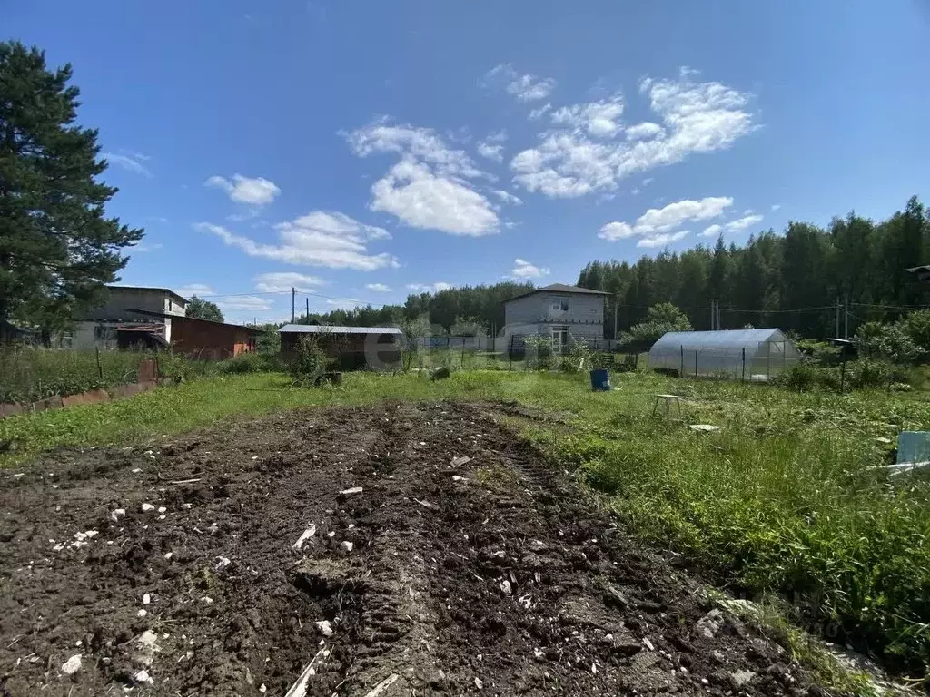 Дом в Костромская область, Кострома Огонек СНТ, 16 (16 м) - Фото 1