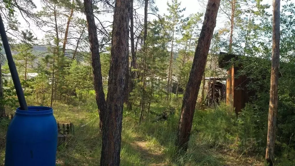 Участок в Саха (Якутия), Якутск ул. Березовая Речка (6.0 сот.) - Фото 0