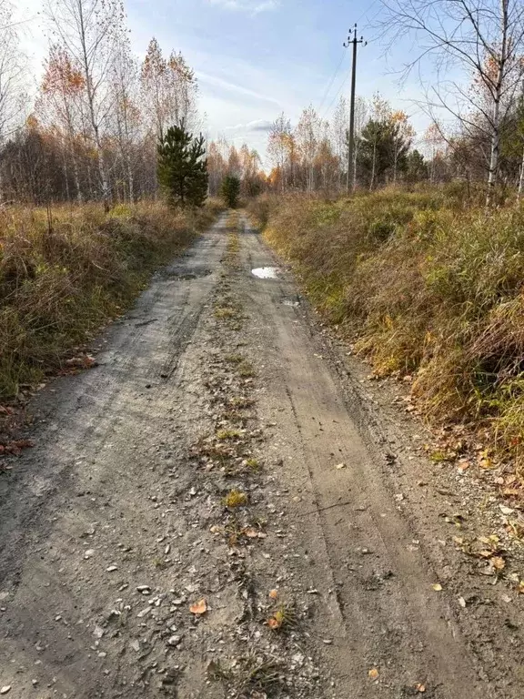 Участок в Новосибирская область, Искитимский район, Тальменский ... - Фото 0