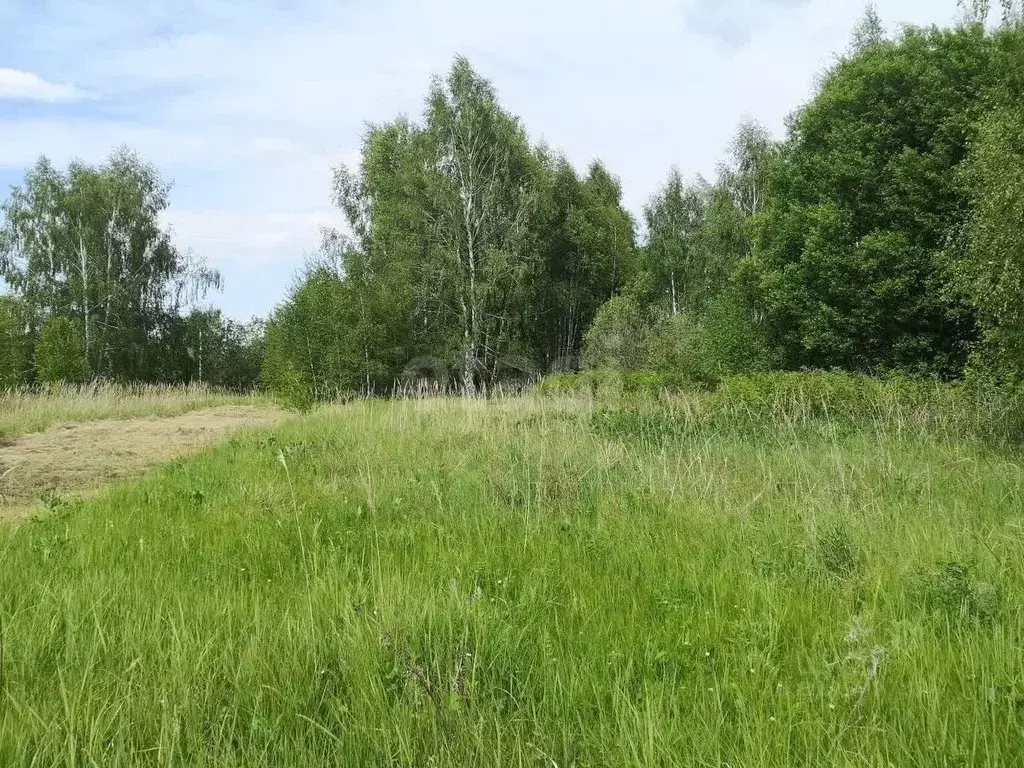 Участок в Владимирская область, Меленковский муниципальный округ, д. ... - Фото 2