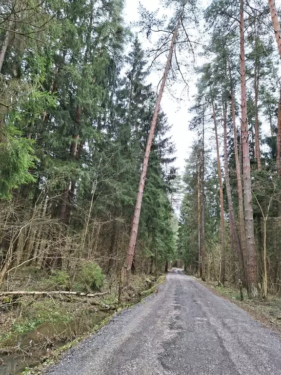 Дом в Московская область, Дмитровский муниципальный округ, ... - Фото 1