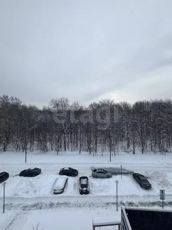 1-к кв. Московская область, Красногорск городской округ, Отрадное пгт ... - Фото 1