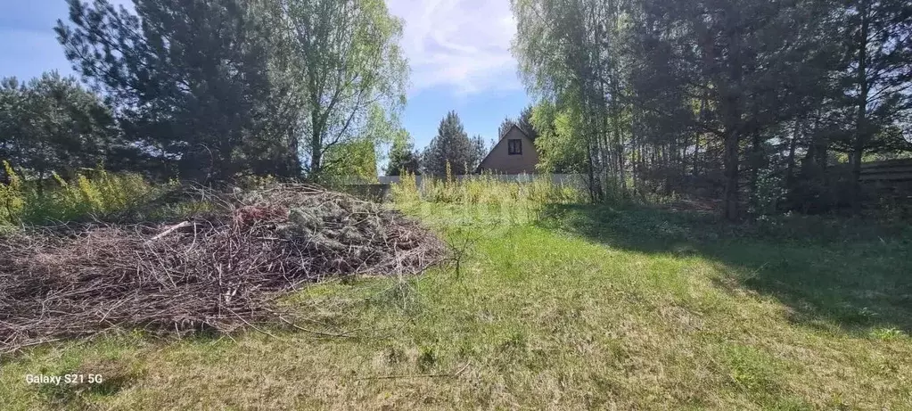 Участок в Калужская область, Дзержинский муниципальный округ, Льва ... - Фото 1