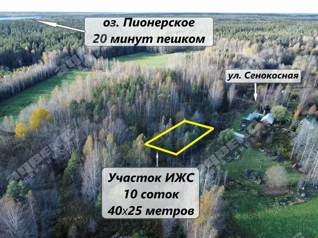 Участок в Выборгский район, Приморское городское поселение, деревня ... - Фото 2