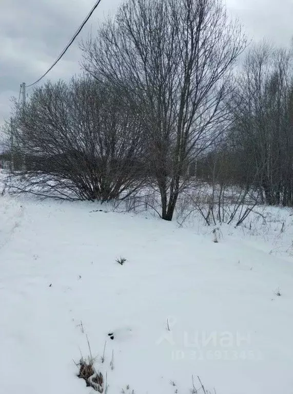 Участок в Московская область, Ступино городской округ, д. Бурцево ул. ... - Фото 0