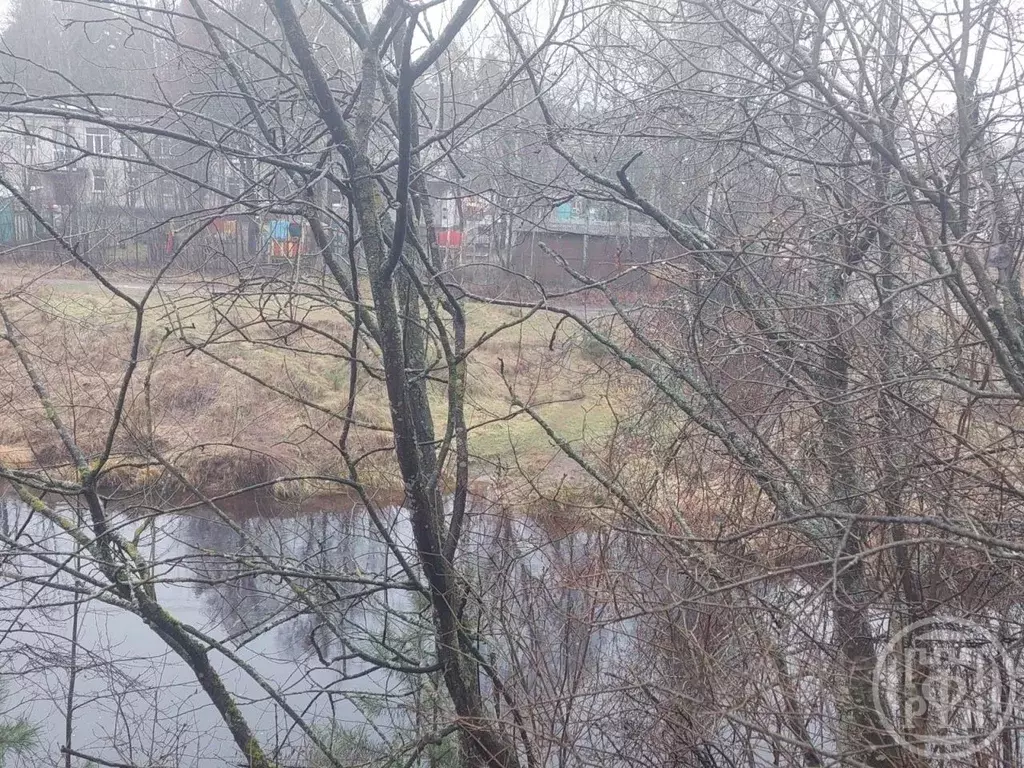 Дом в Ленинградская область, Гатчинский муниципальный округ, Вырица ... - Фото 2