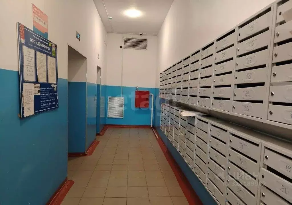 Студия Амурская область, Благовещенский район, с. Чигири ул. ... - Фото 2