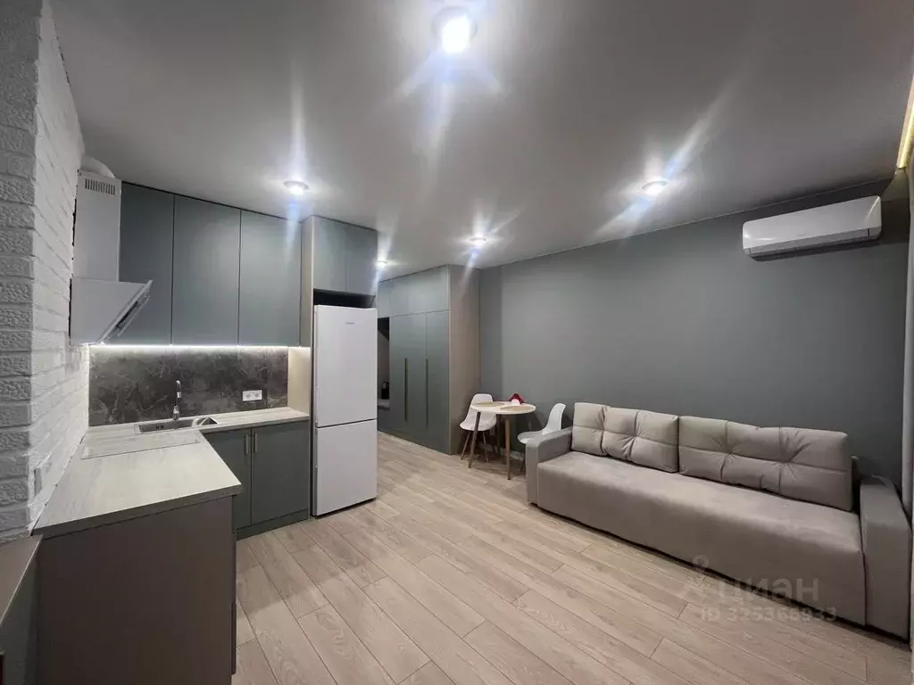 Студия Ростовская область, Ростов-на-Дону просп. Ленина, 46/2 (30.0 м) - Фото 1