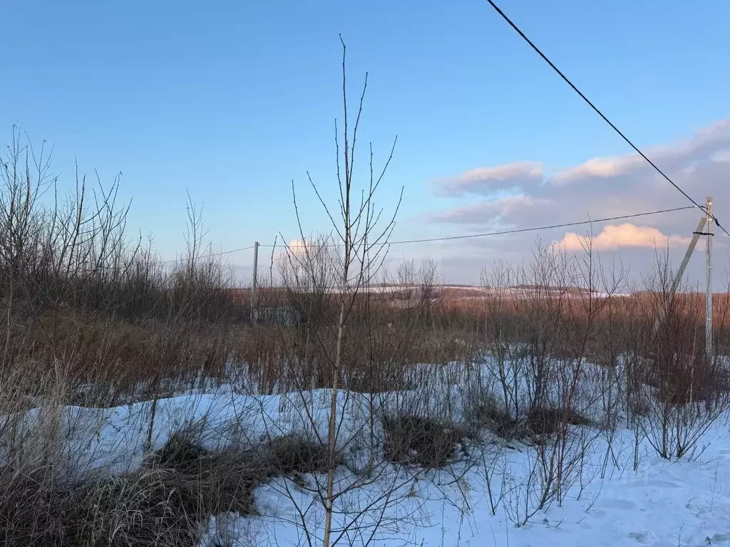 Участок в Хабаровский край, Хабаровский район, Корсаковское с/мо, с. ... - Фото 2