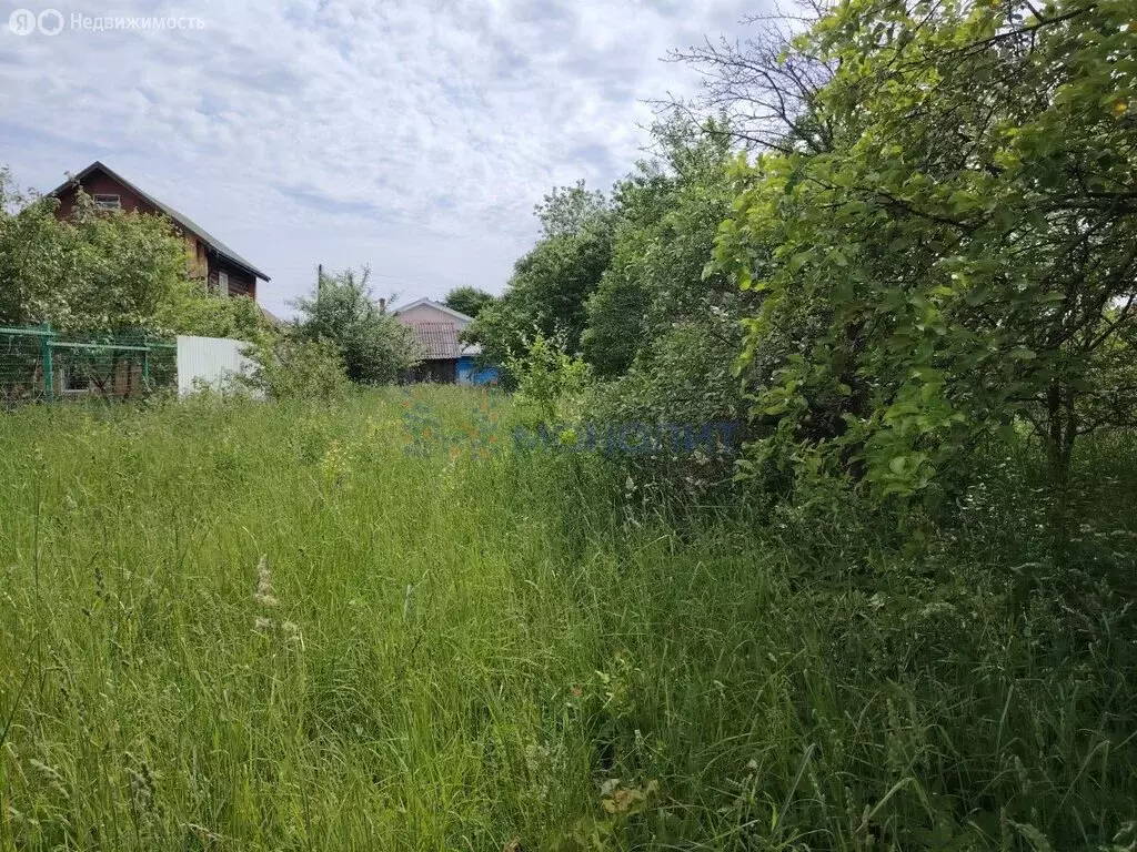 Участок в Нижегородская область, Богородский муниципальный округ, ... - Фото 1
