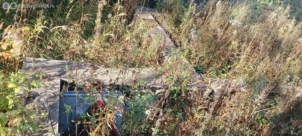 Участок в Московская область, городской округ Солнечногорск, садовое ... - Фото 2